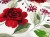 tissu-en-coton-motif-grandes-fleurs-rouges-1632-4.jpg