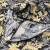 tissu-coton-motif-feuilles-sur-noir-222.jpg