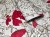 tissu-coton-fleurs-sur-gris-1664.jpg