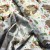 tissus-en-coton-au-m-tre-motif-mammouthssur-blanche-160-cm-444jpg1111.jpg