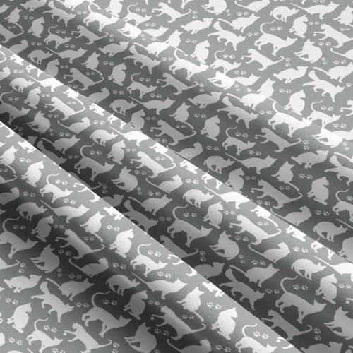 animalkt-664-5.jpg
