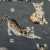 tissu-coton-au-metre-imprime-chat-et-sindice-couleur-gris.jpg
