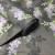 tissu-coton-au-metre-imprime-fleurs-1374.jpg